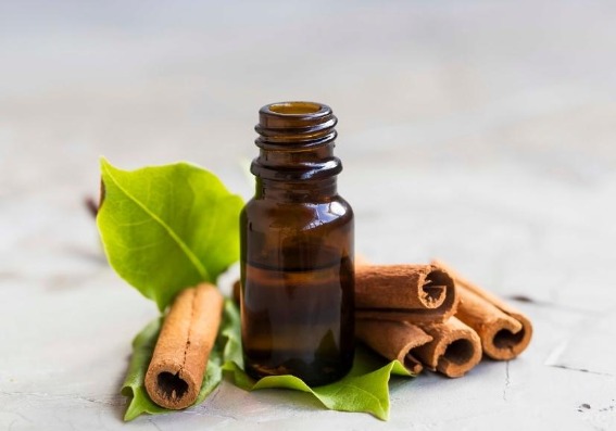7 aromas comunes que curan malestares